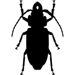 ���ģ����3D