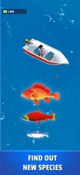 Fishing Lake(��������)