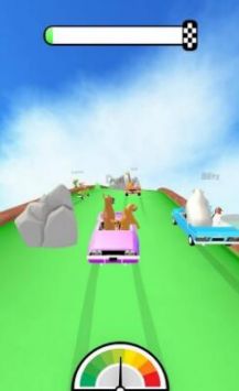 ����쳵����Wild Racing