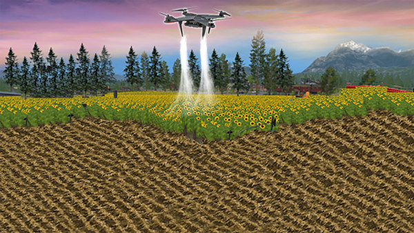 һ�㶼�������ũ��