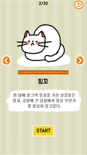 ��Ԯè�ٷ���׿��