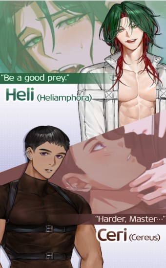 ���ܴ�ԽԼ��