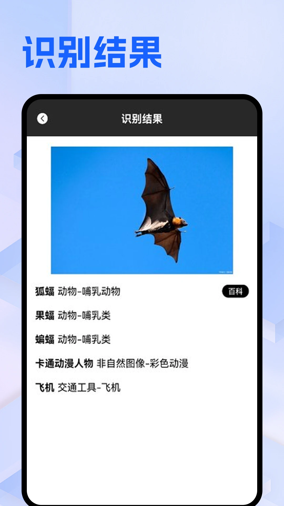 ��������2026�ֻ���