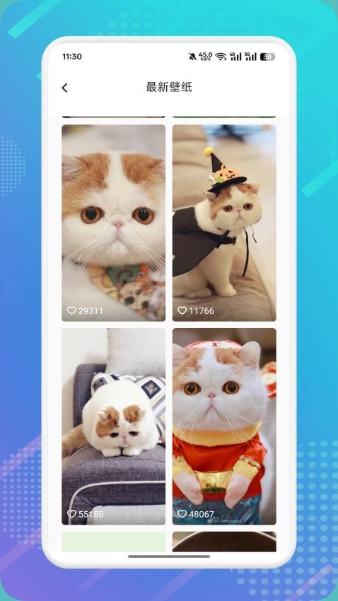 è������h2026��Ѱ�