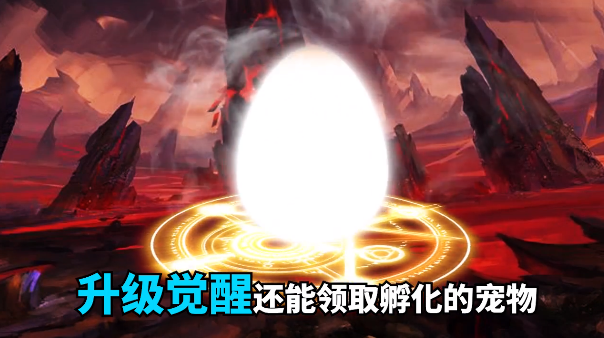 石器小豆丁