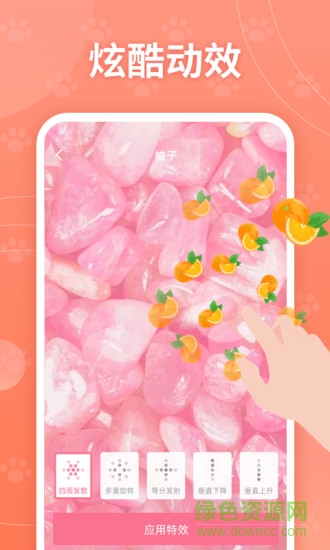 ����������Ч