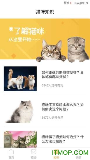 猫咪翻译器