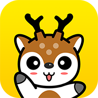 ��¹-���콻������