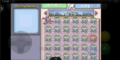 口袋妖怪:永恒之沫