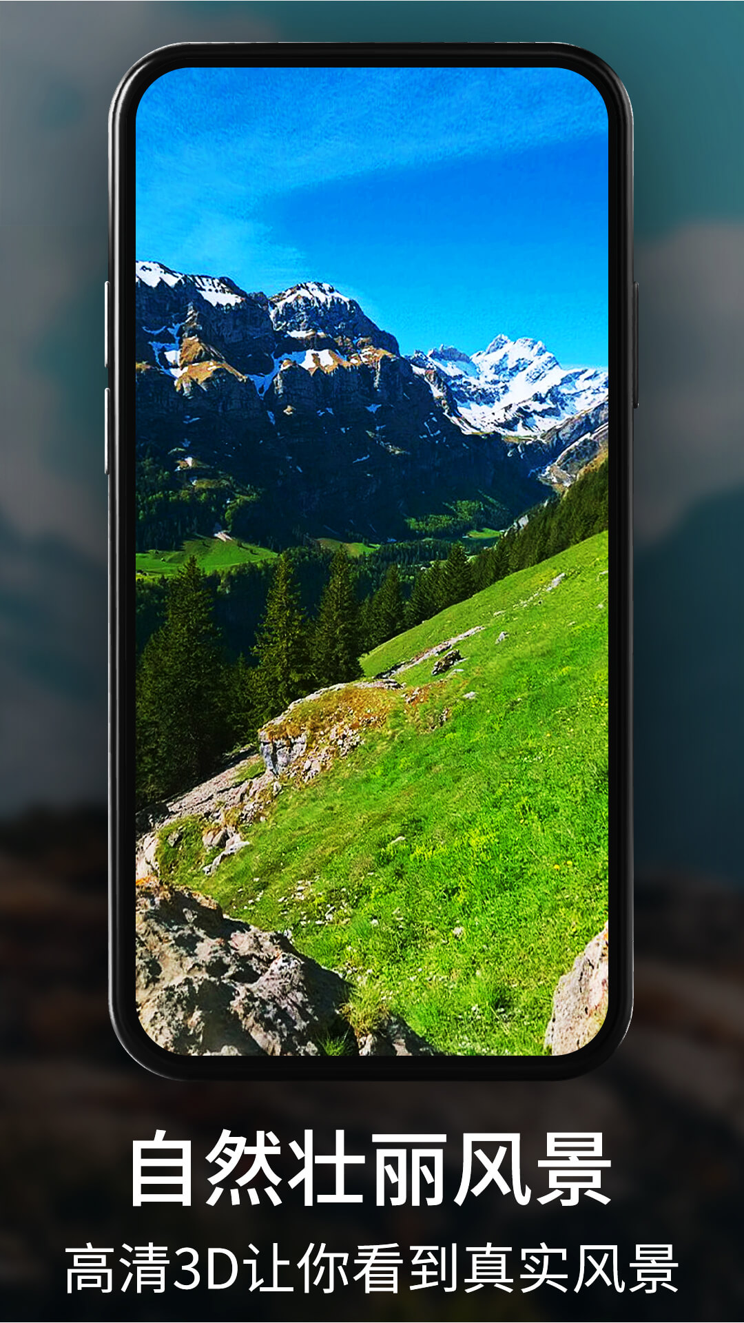 ��������ϵͳ