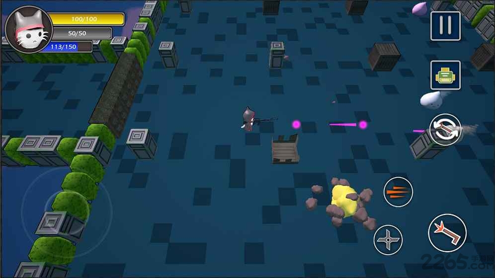 ͻ��è������(AssaultCat)