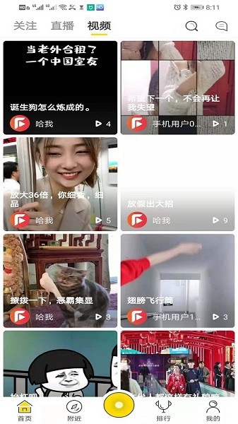 鱼豹直播