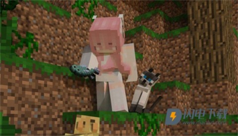 �ҵ�����è��ģ��