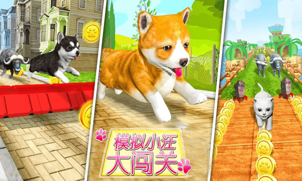 ����С���󴳹�