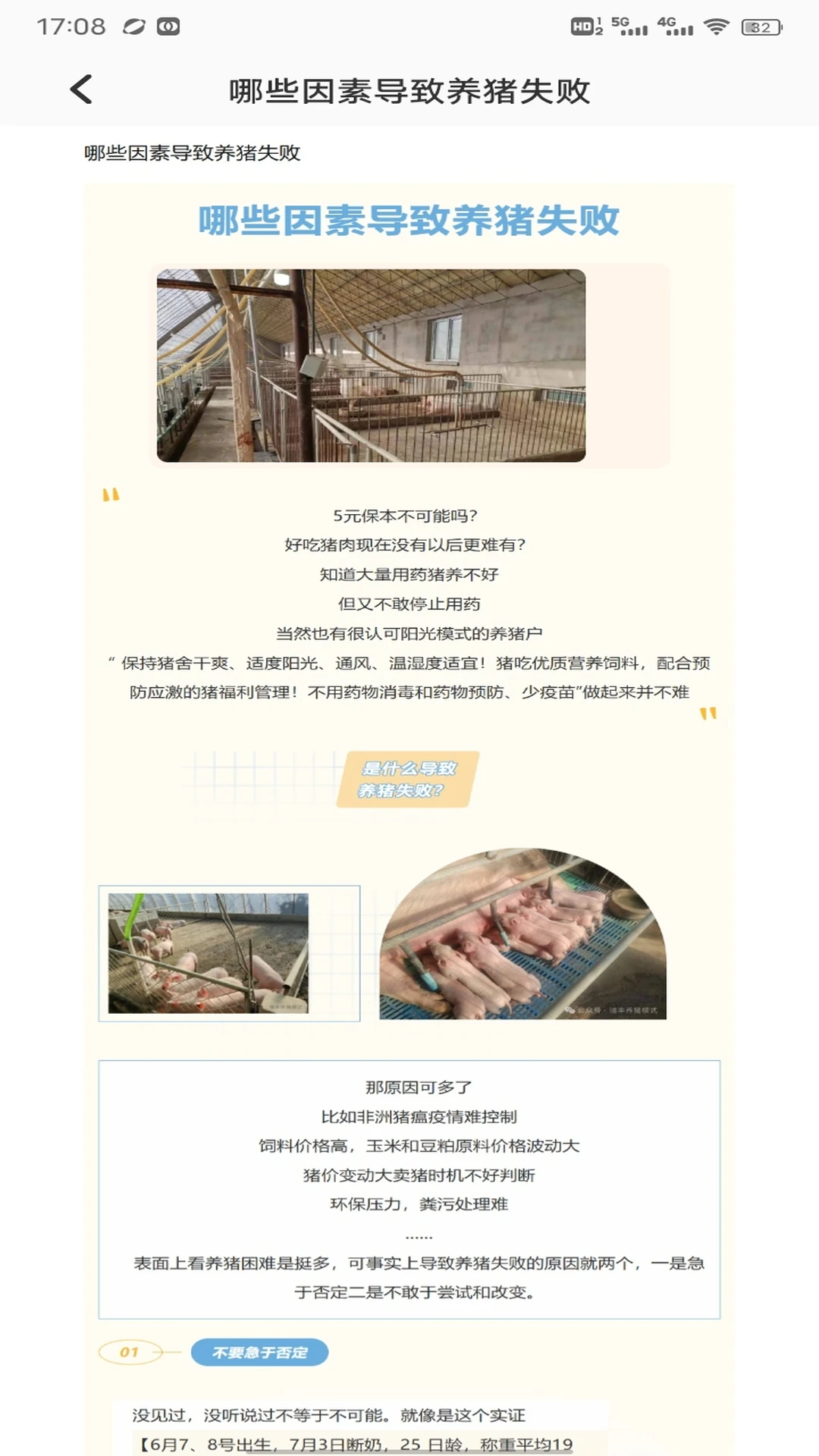 猪猪跑不停