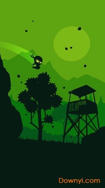 忍者潜行游戏(ninja)