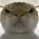 �������ж��ƽ�����޹������ֻ���װ