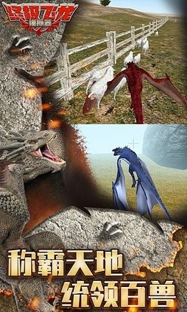 飞龙模拟器无限金币版无限经验版官网版免费2025下载