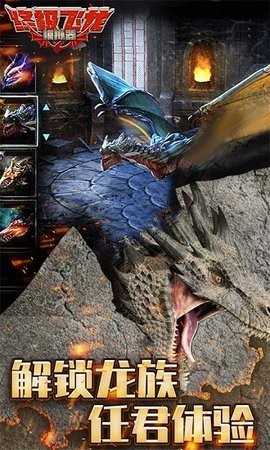 飞龙模拟器无限金币版无限经验版官网版免费2025下载