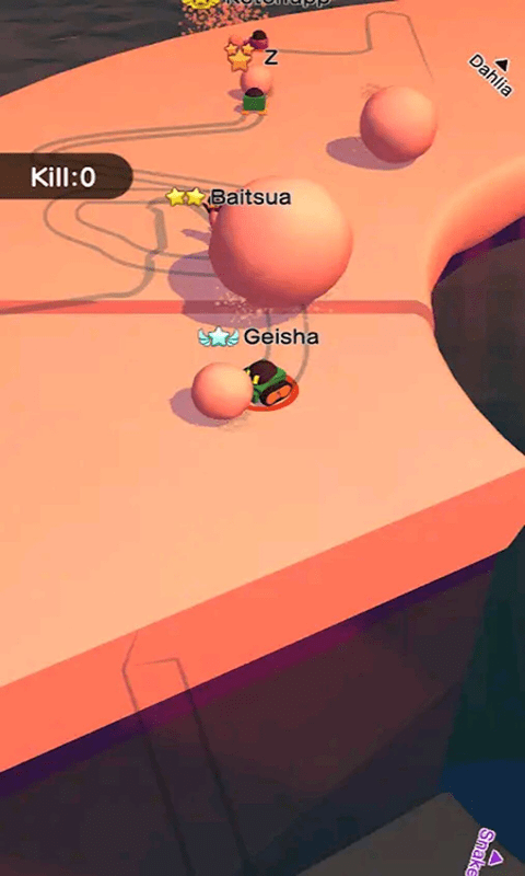 ����ѩ��Ӣ