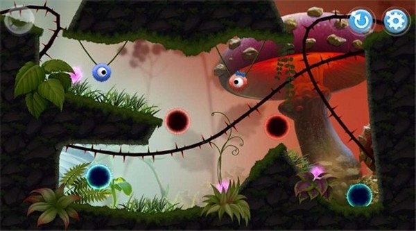 ���ɵĹ���