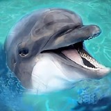 ������ģ������������������-������ģ�������¹�����