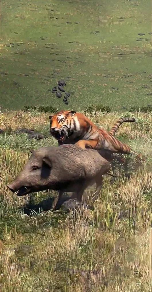 狂猎之王 最新版