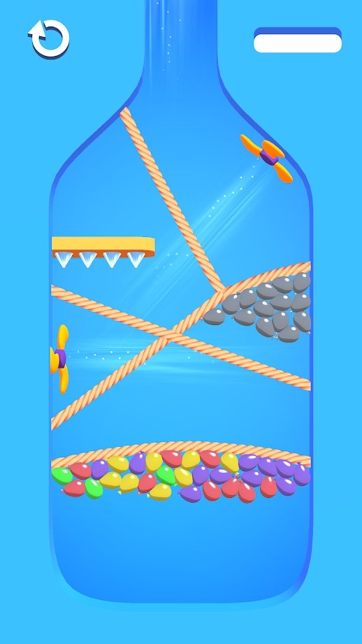 �ſ�����