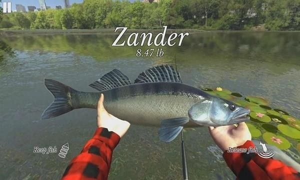 终极钓鱼模拟器破解版最新官网版