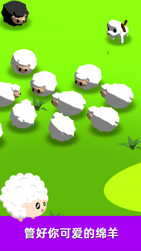 ��Ȯ��������3D