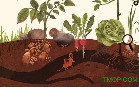 С�������Ȼ��̬�ٿ�