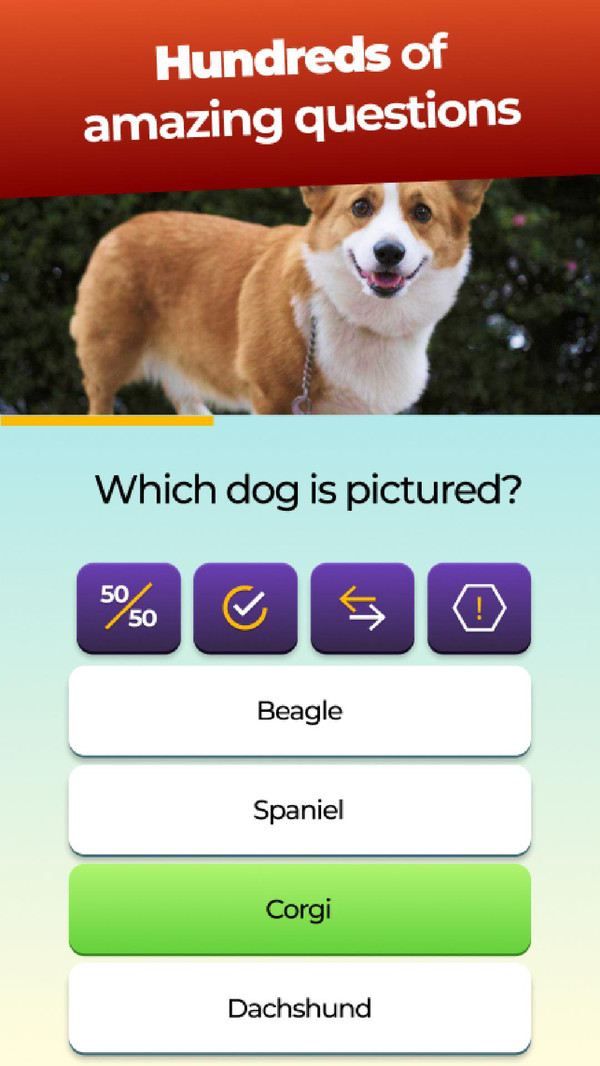 ���浺�� ���°�