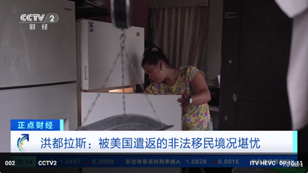 肥羊直播 TV版