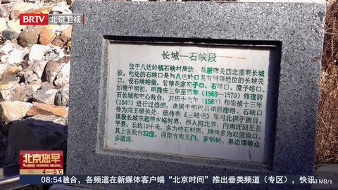 肥羊直播