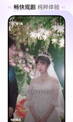 ϲ���̾�app�ɰ汾