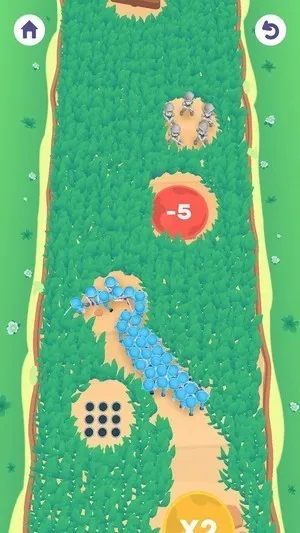 ��Ⱥ����