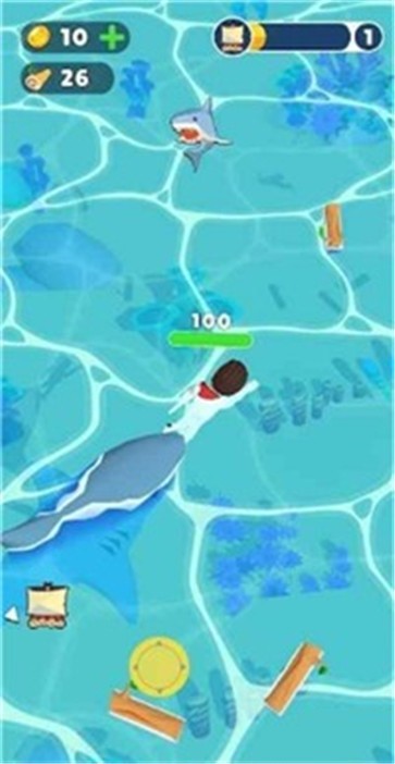 Survival Raft�����췤