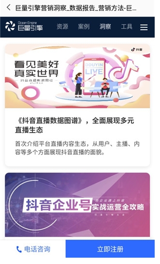 巨量引擎
