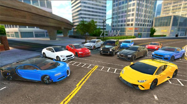 ���������м�ʻ����(Racing in Car 2021)