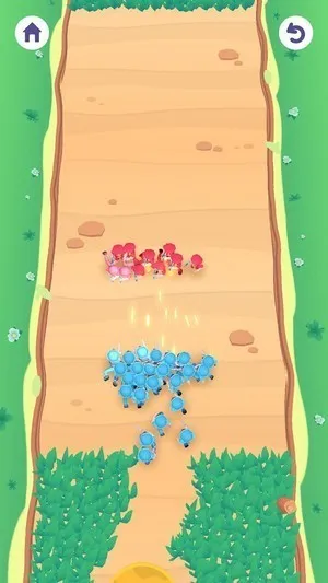 ��Ⱥ����