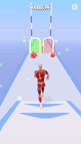 �����ܲ�