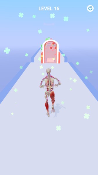 �����ܲ�