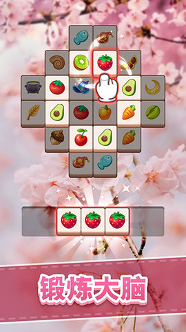 ȫ����װ��