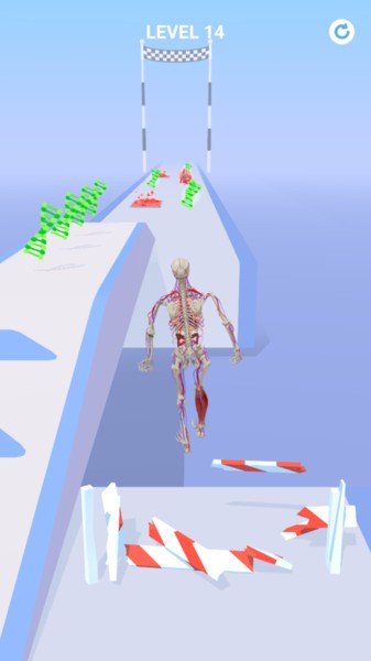 �����ܲ�