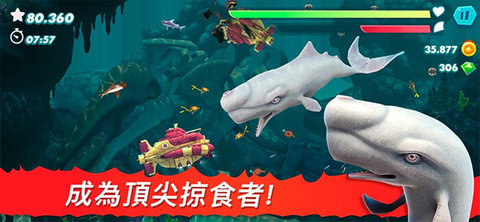 ����������ٷ�����2026�°汾