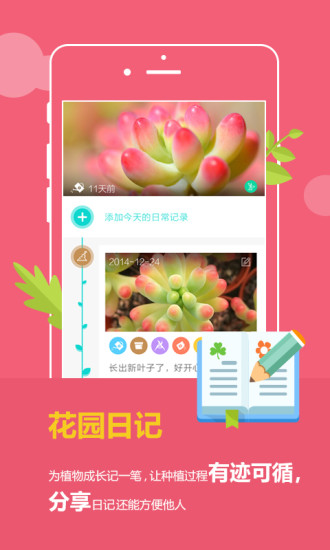 花满城
