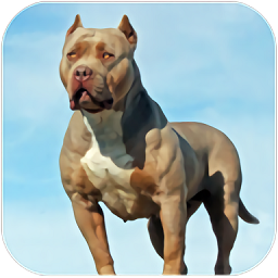 ����Ȯģ�������°�(pitbull dog simulator )