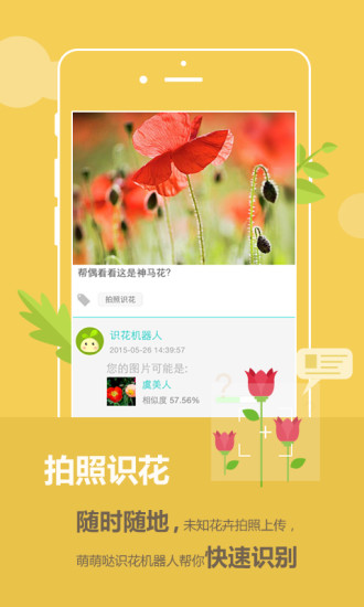 花满城