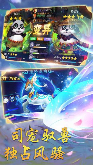 �����ɼ�