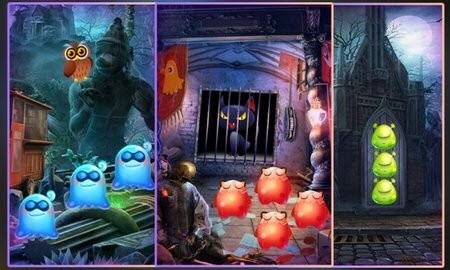 ��ʥ�ں�è������